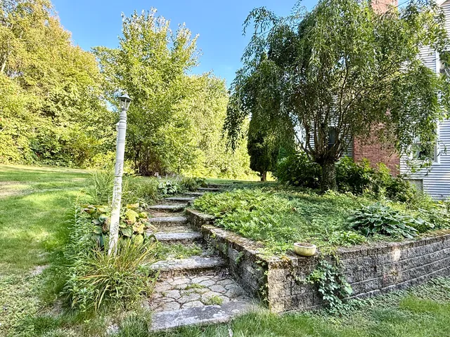 a view of a garden with an outdoor space