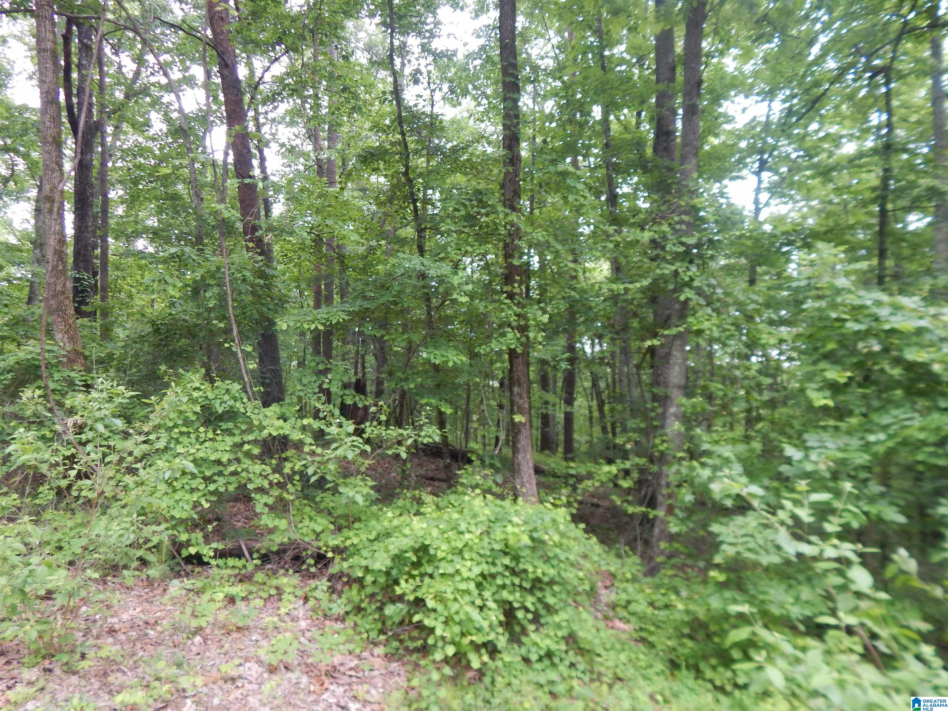 474 Caffee Creek Road Woodstock, AL 35188 - Photo 14 of 21
