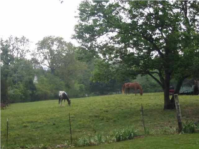 1720 Clear Creek Road Dayton, TN 37321 - Photo 9 of 9 Additional Photo