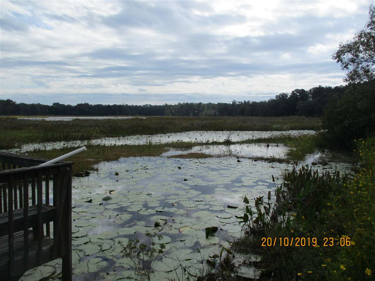 1624 Northwest Little Cat Road Madison, FL 32340 - Photo 11 of 35 Gallery Image 11
