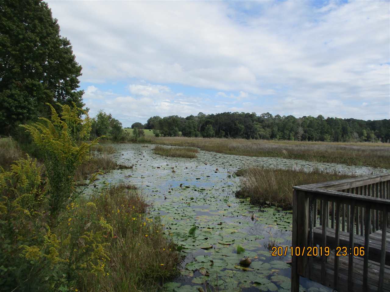 1624 Northwest Little Cat Road Madison, FL 32340 - Photo 12 of 35 Gallery Image 12