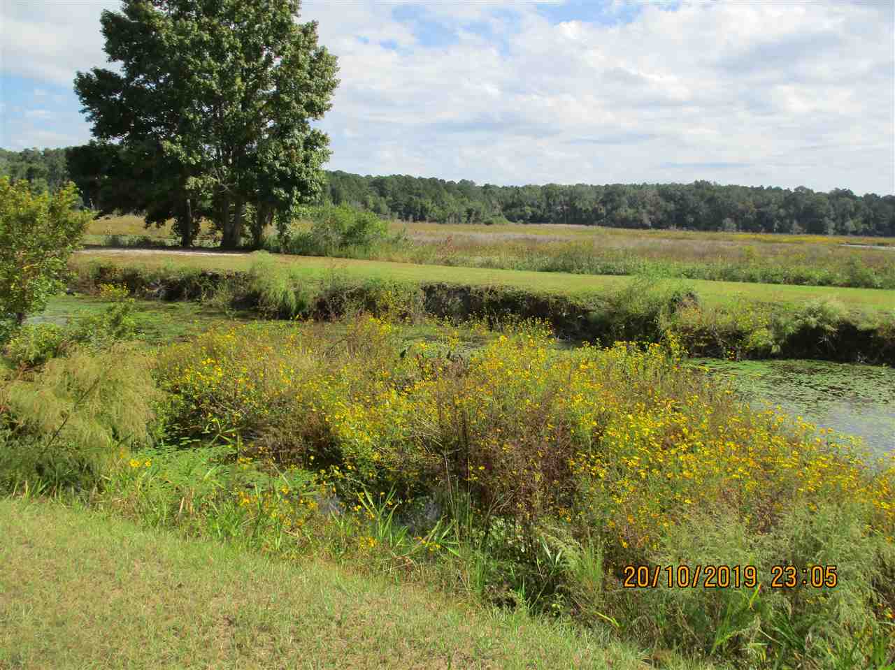 1624 Northwest Little Cat Road Madison, FL 32340 - Photo 13 of 35 Gallery Image 13