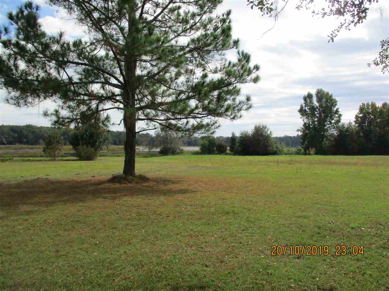 1624 Northwest Little Cat Road Madison, FL 32340 - Photo 15 of 35 Gallery Image 15