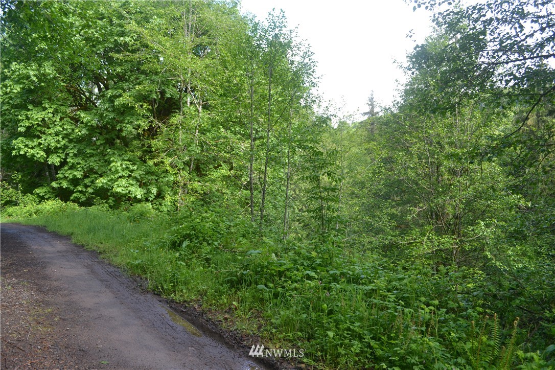 0 Coyote Canyon Road Kelso, WA 98626 - Photo 1 of 10 Gallery Image 1
