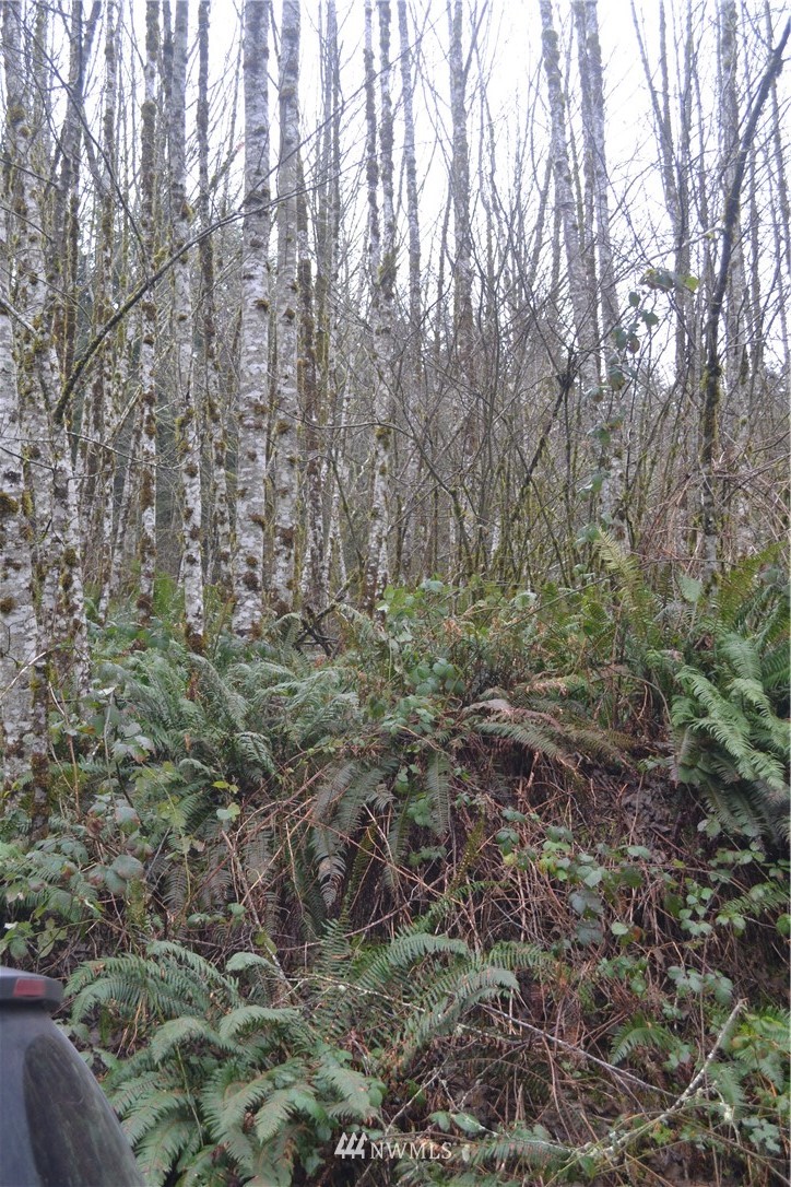 0 Coyote Canyon Road Kelso, WA 98626 - Photo 5 of 10 Gallery Image 5