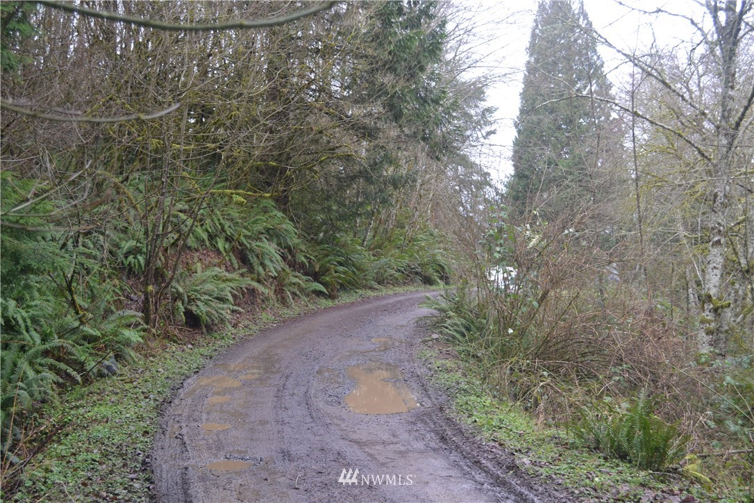0 Coyote Canyon Road Kelso, WA 98626 - Photo 7 of 10 Gallery Image 7