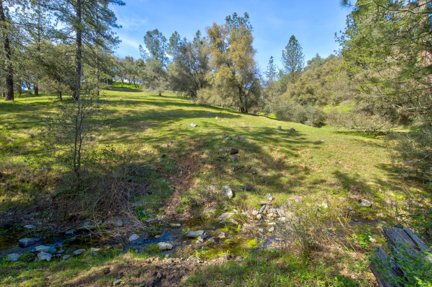 12442 Trembath Mtn Road Fiddletown, CA 95629 - Photo 11 of 42