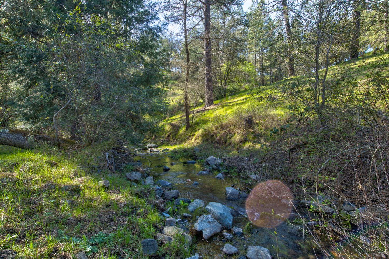 12442 Trembath Mtn Road Fiddletown, CA 95629 - Photo 12 of 42