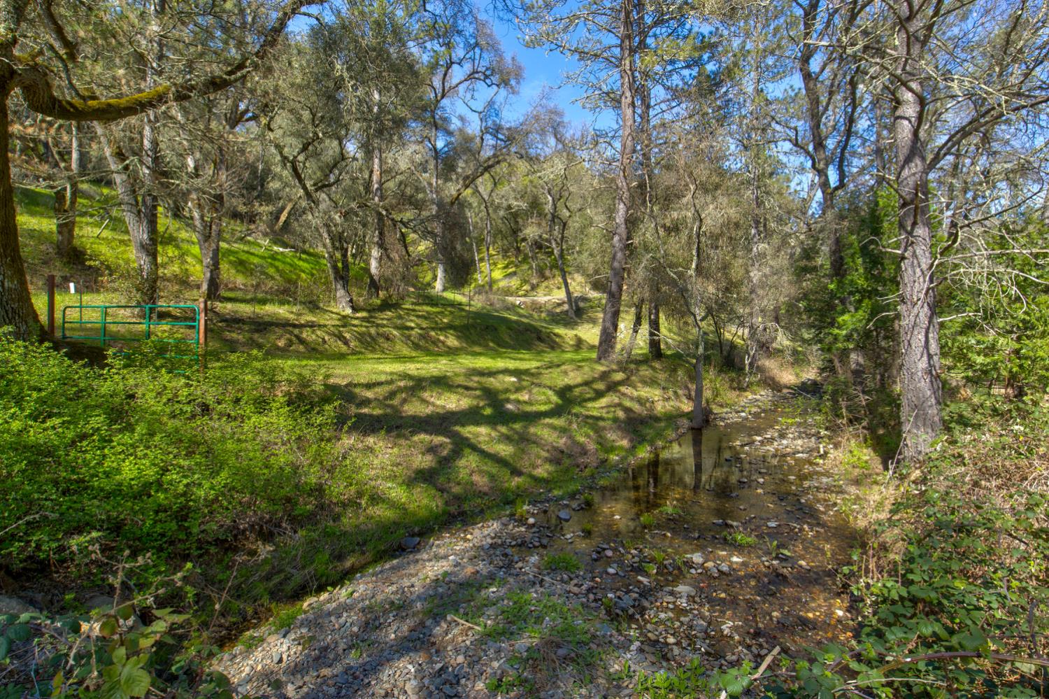 12442 Trembath Mtn Road Fiddletown, CA 95629 - Photo 14 of 42