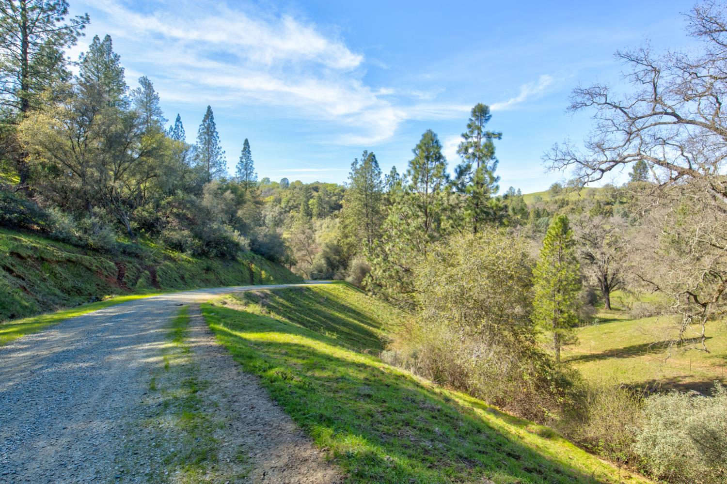 12442 Trembath Mtn Road Fiddletown, CA 95629 - Photo 16 of 42