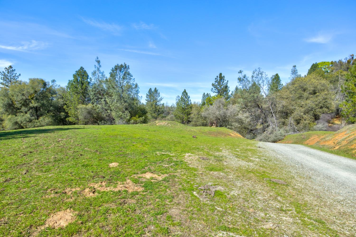 12442 Trembath Mtn Road Fiddletown, CA 95629 - Photo 17 of 42