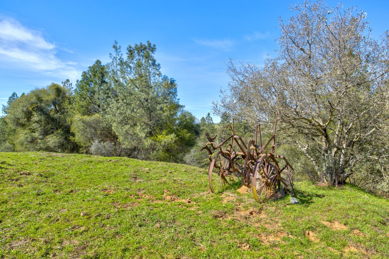 12442 Trembath Mtn Road Fiddletown, CA 95629 - Photo 18 of 42