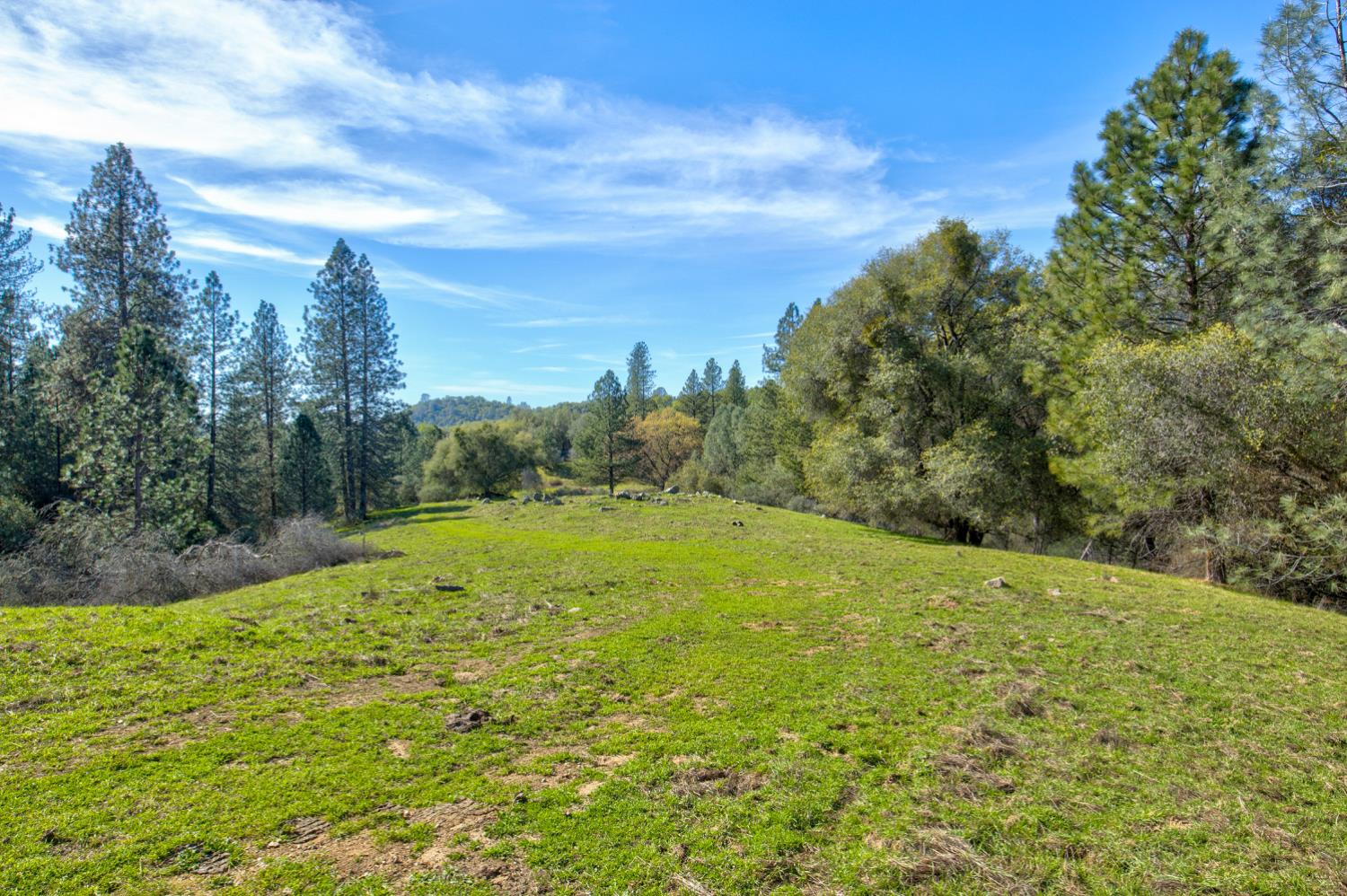 12442 Trembath Mtn Road Fiddletown, CA 95629 - Photo 19 of 42