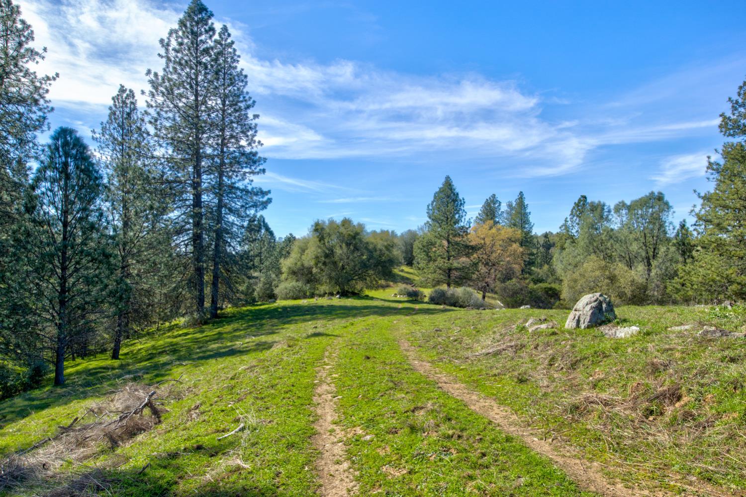 12442 Trembath Mtn Road Fiddletown, CA 95629 - Photo 20 of 42