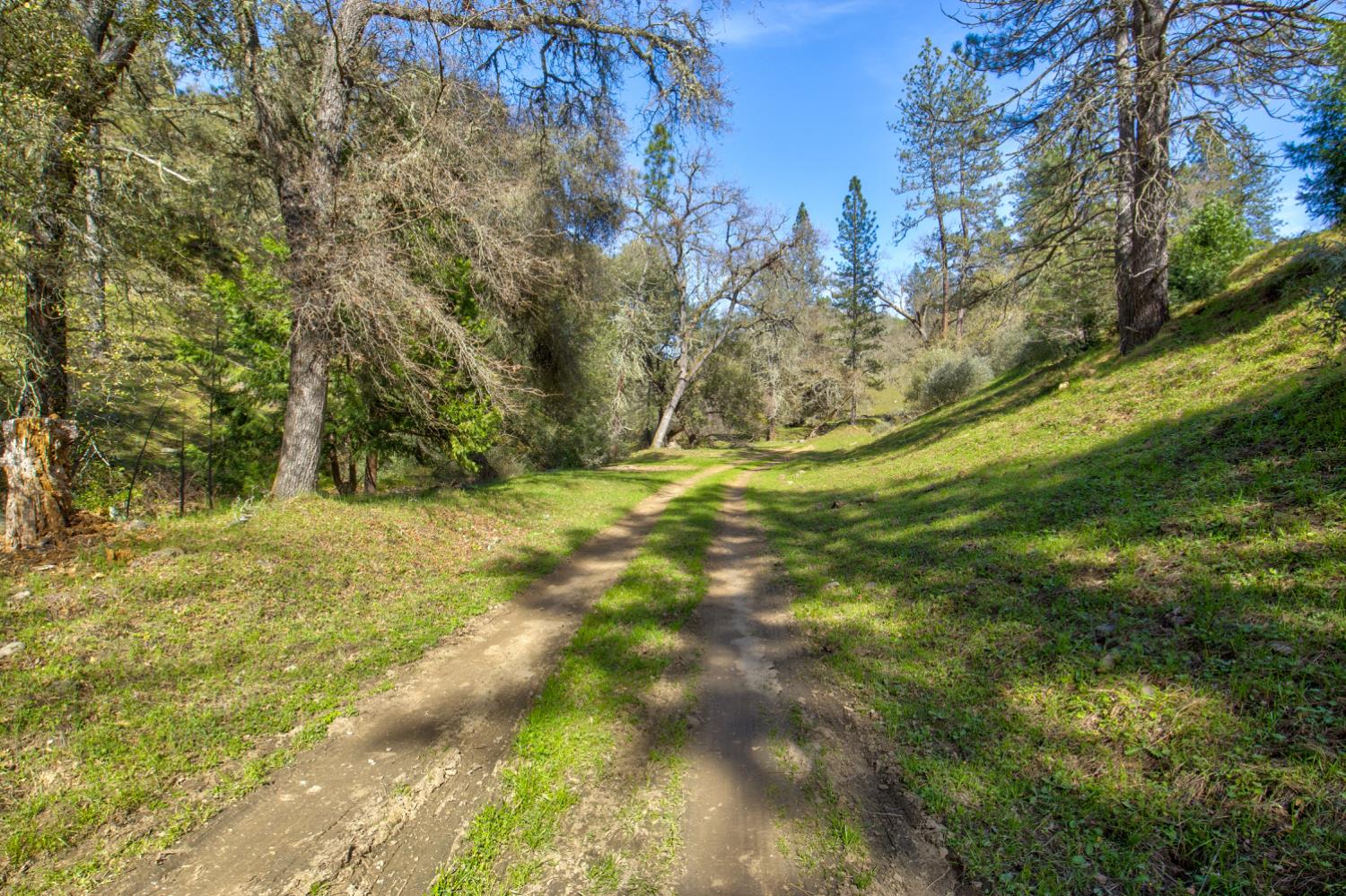 12442 Trembath Mtn Road Fiddletown, CA 95629 - Photo 2 of 42