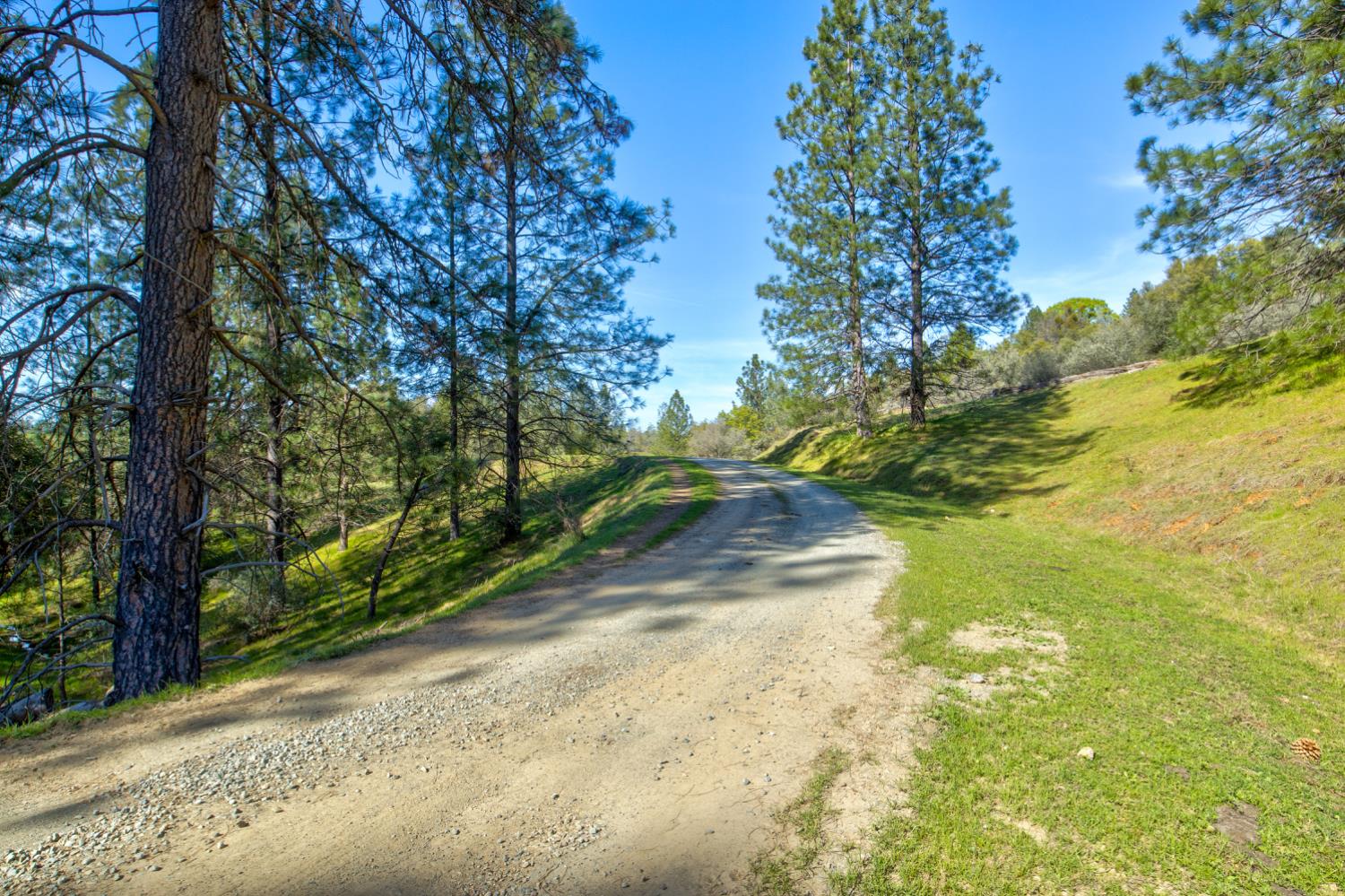 12442 Trembath Mtn Road Fiddletown, CA 95629 - Photo 22 of 42