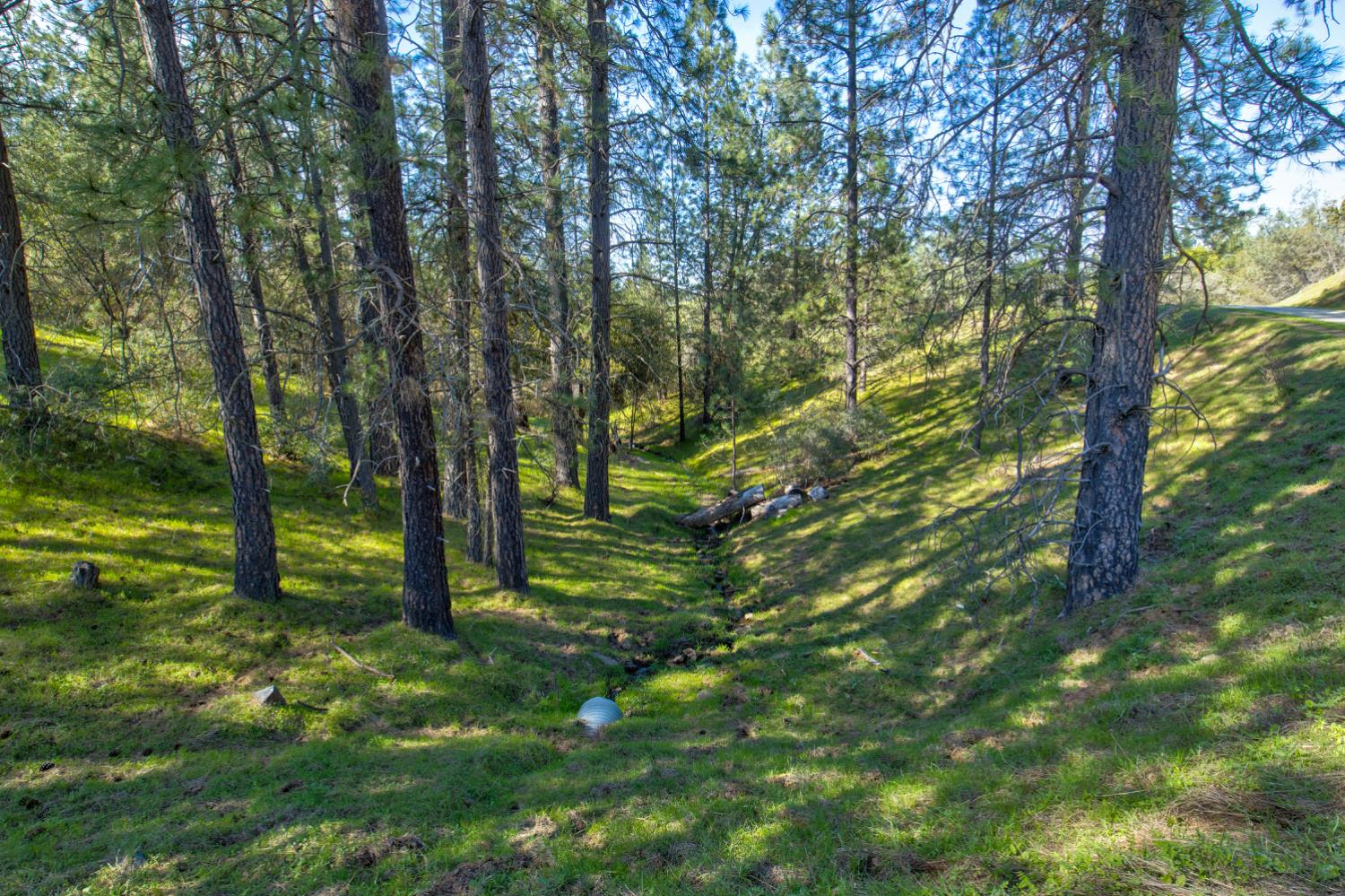 12442 Trembath Mtn Road Fiddletown, CA 95629 - Photo 23 of 42