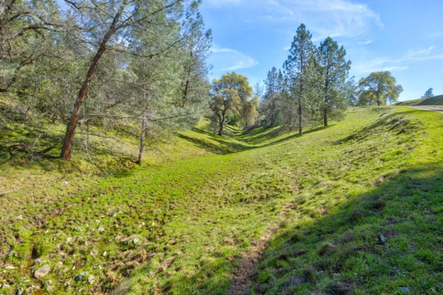 12442 Trembath Mtn Road Fiddletown, CA 95629 - Photo 24 of 42