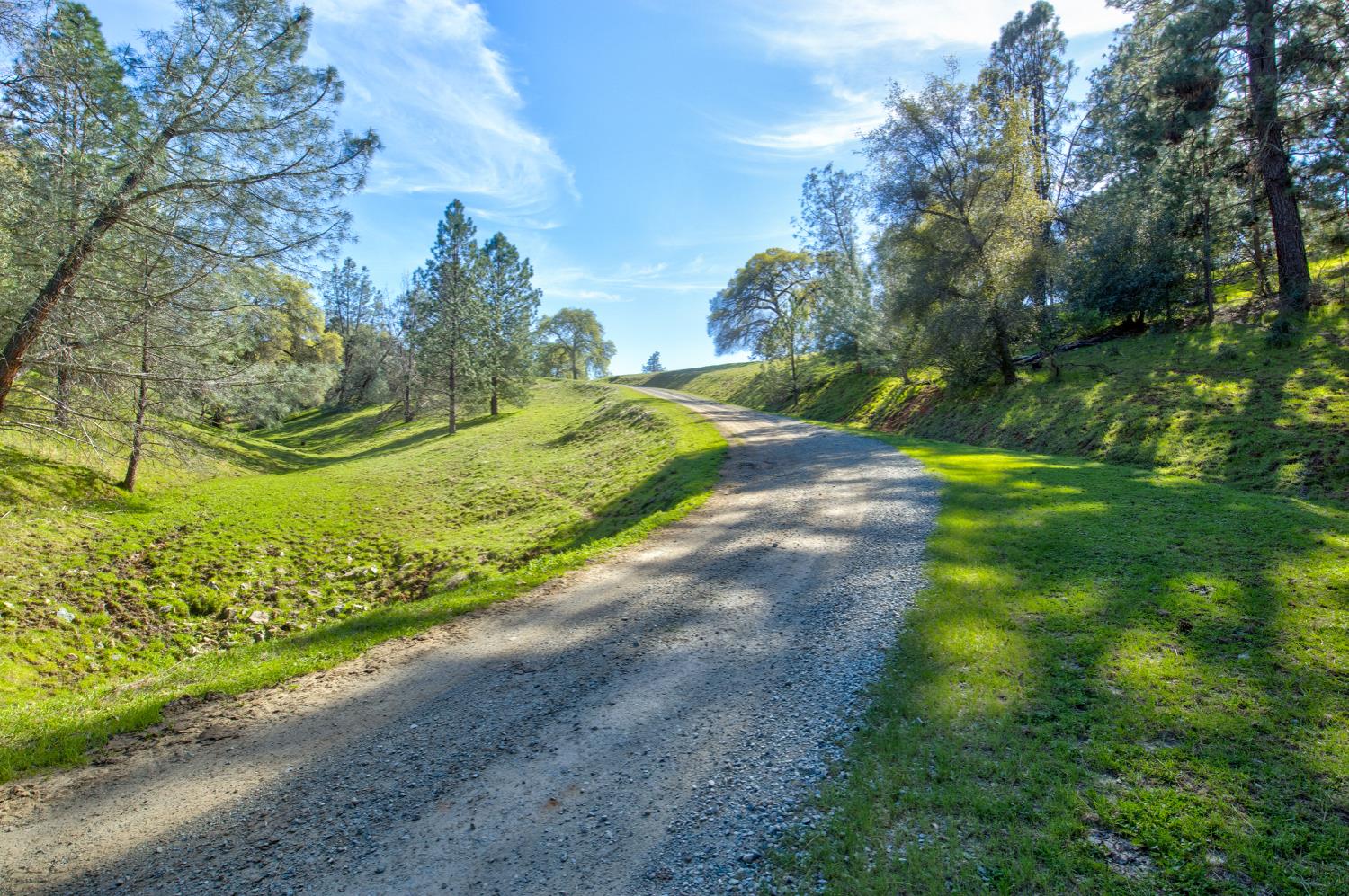 12442 Trembath Mtn Road Fiddletown, CA 95629 - Photo 25 of 42
