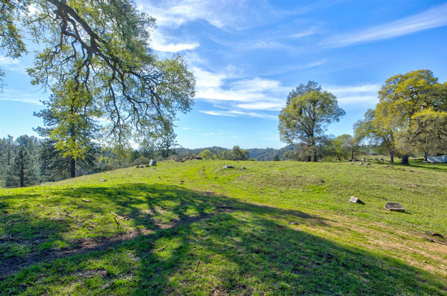 12442 Trembath Mtn Road Fiddletown, CA 95629 - Photo 26 of 42
