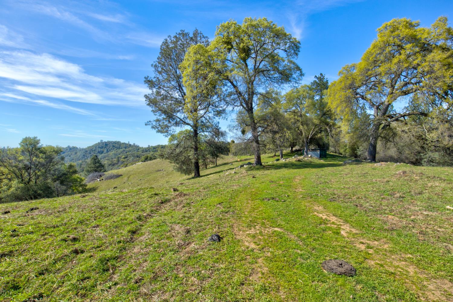 12442 Trembath Mtn Road Fiddletown, CA 95629 - Photo 27 of 42
