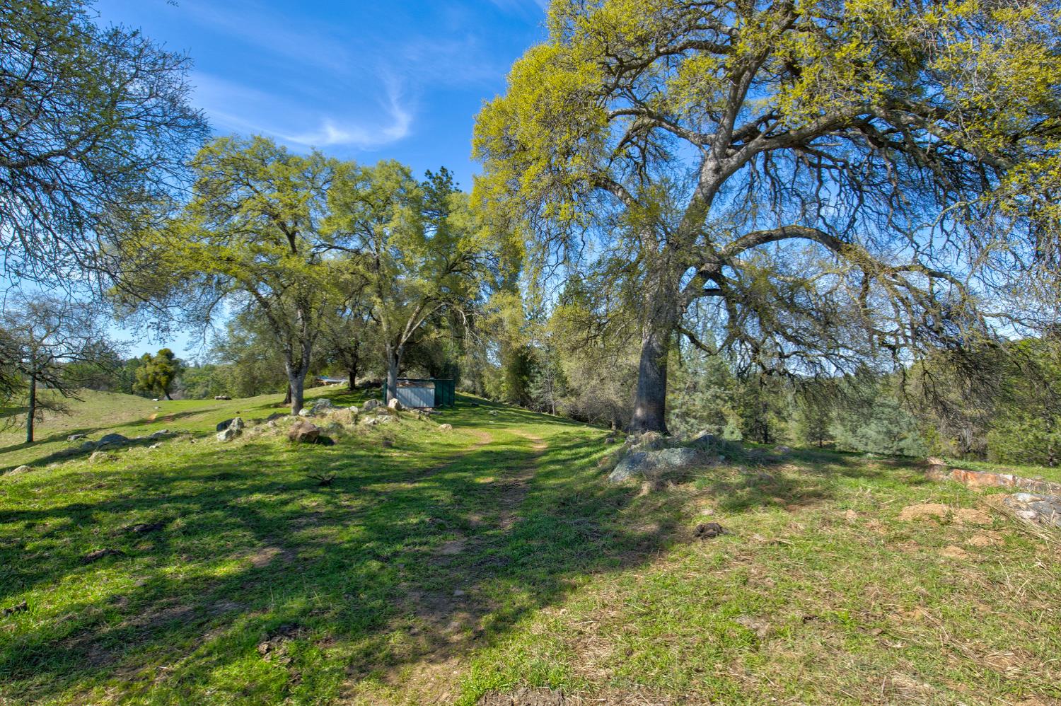 12442 Trembath Mtn Road Fiddletown, CA 95629 - Photo 28 of 42