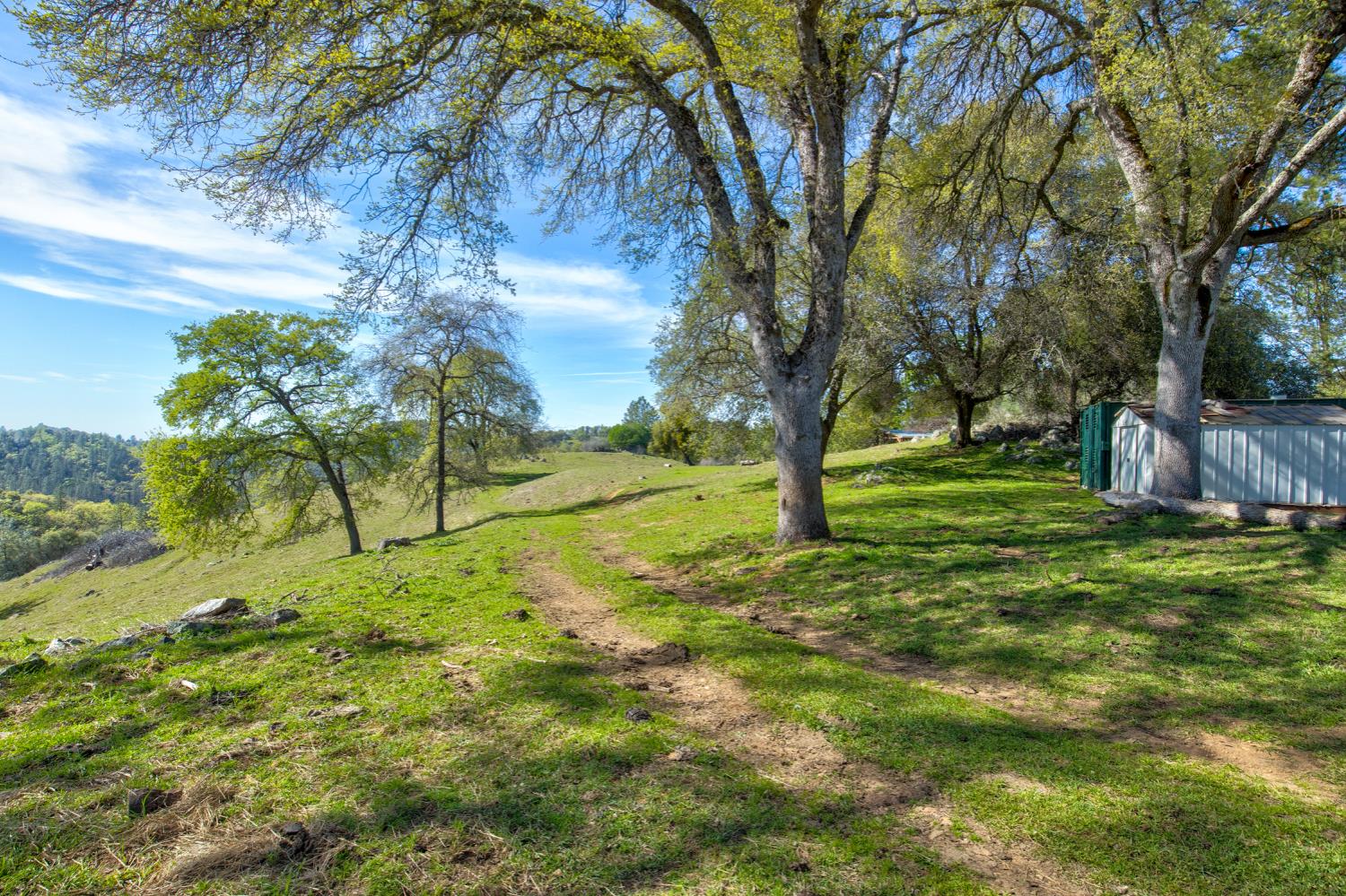 12442 Trembath Mtn Road Fiddletown, CA 95629 - Photo 29 of 42