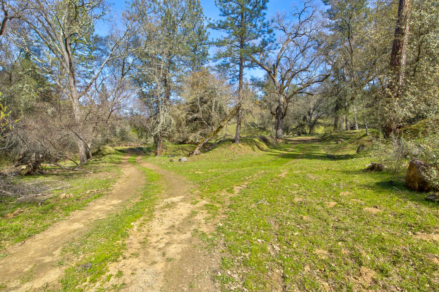 12442 Trembath Mtn Road Fiddletown, CA 95629 - Photo 3 of 42