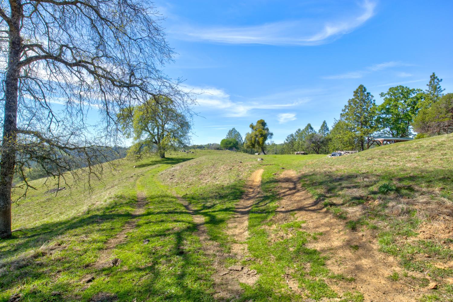 12442 Trembath Mtn Road Fiddletown, CA 95629 - Photo 31 of 42