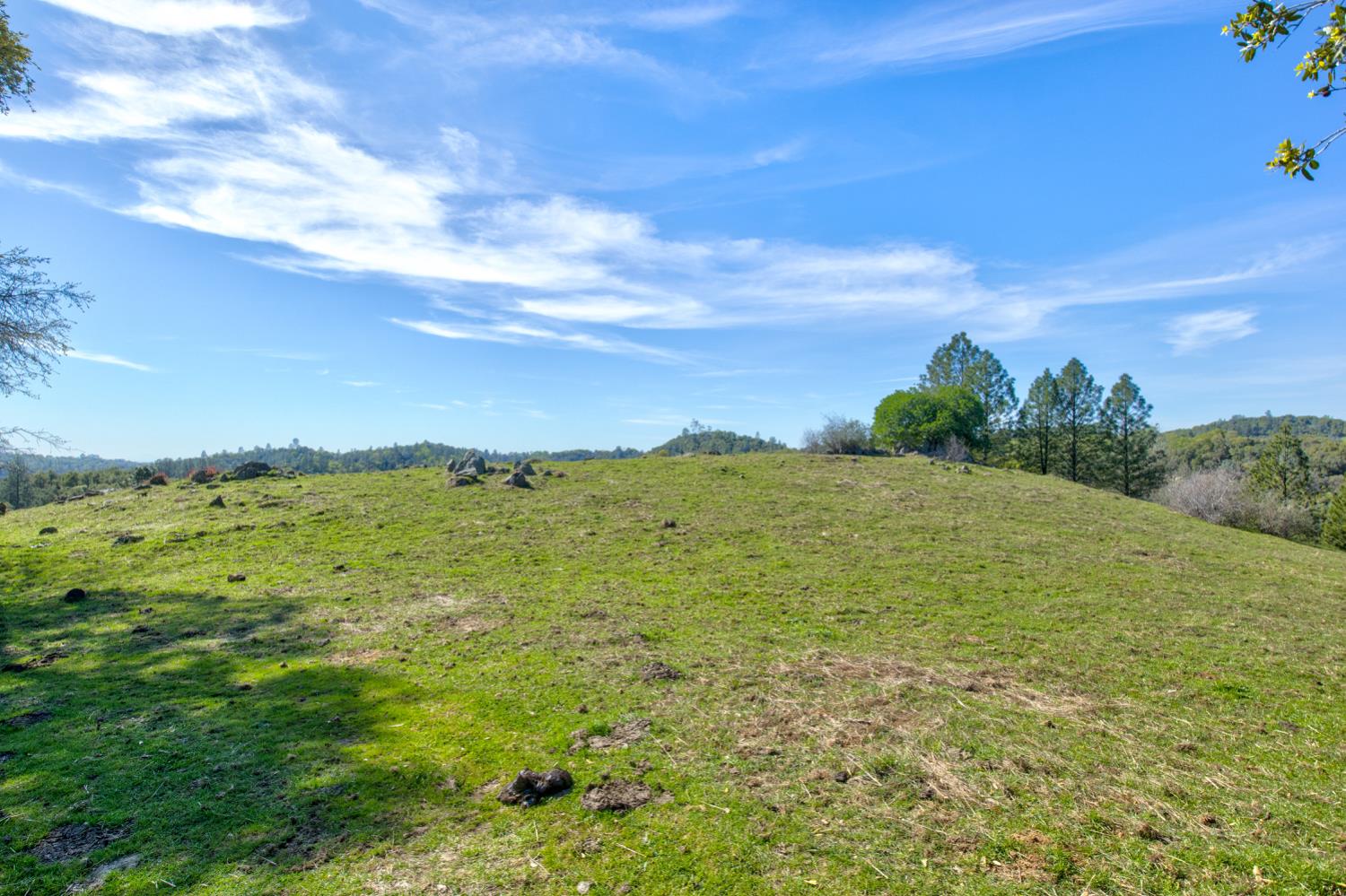 12442 Trembath Mtn Road Fiddletown, CA 95629 - Photo 35 of 42