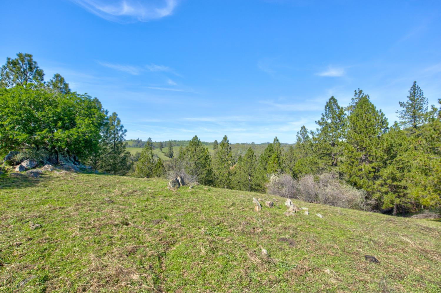 12442 Trembath Mtn Road Fiddletown, CA 95629 - Photo 38 of 42