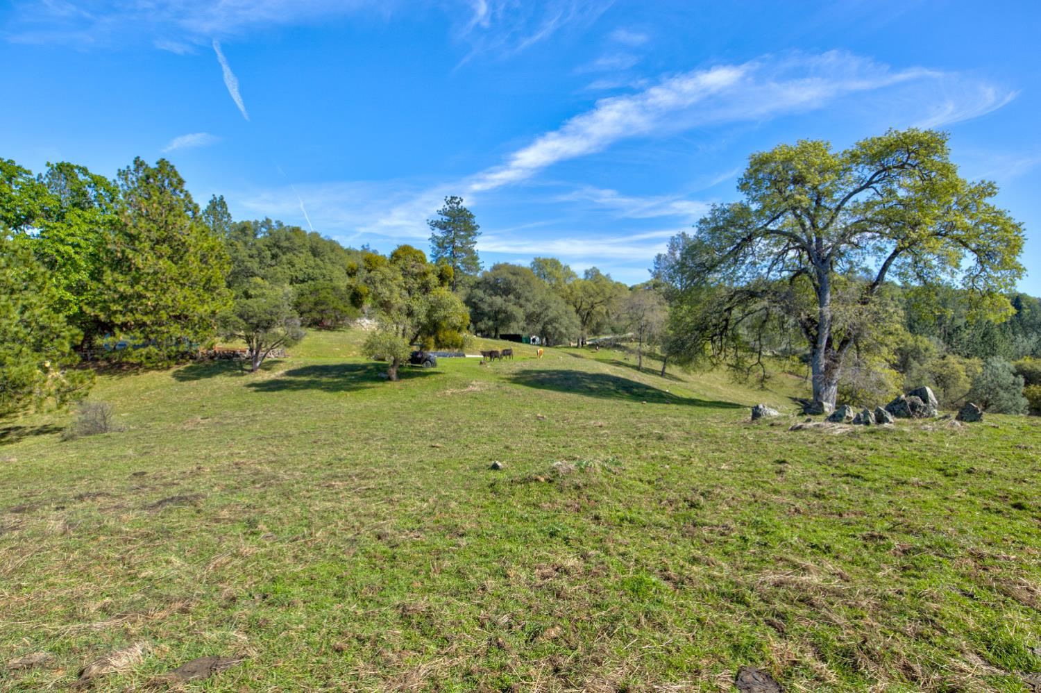 12442 Trembath Mtn Road Fiddletown, CA 95629 - Photo 39 of 42