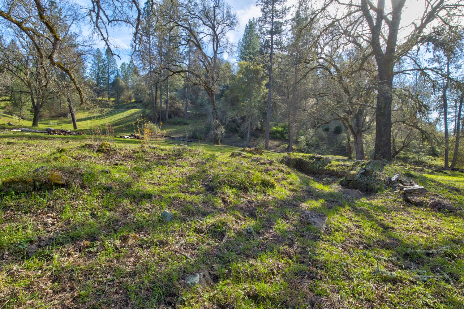12442 Trembath Mtn Road Fiddletown, CA 95629 - Photo 4 of 42