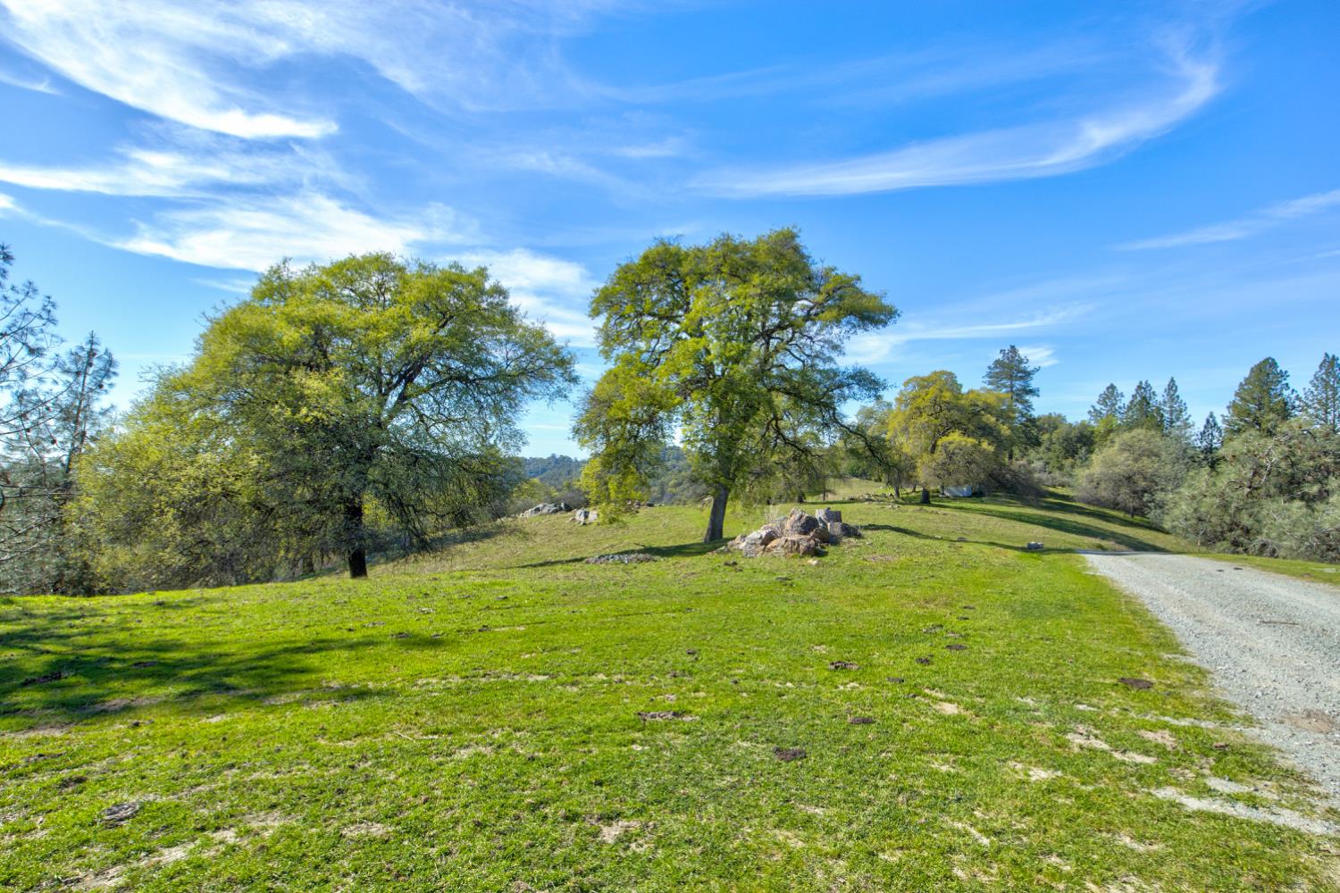12442 Trembath Mtn Road Fiddletown, CA 95629 - Photo 41 of 42