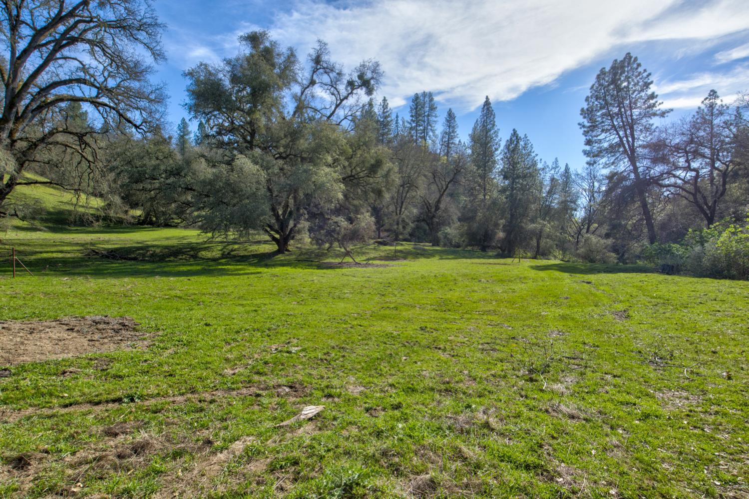 12442 Trembath Mtn Road Fiddletown, CA 95629 - Photo 5 of 42