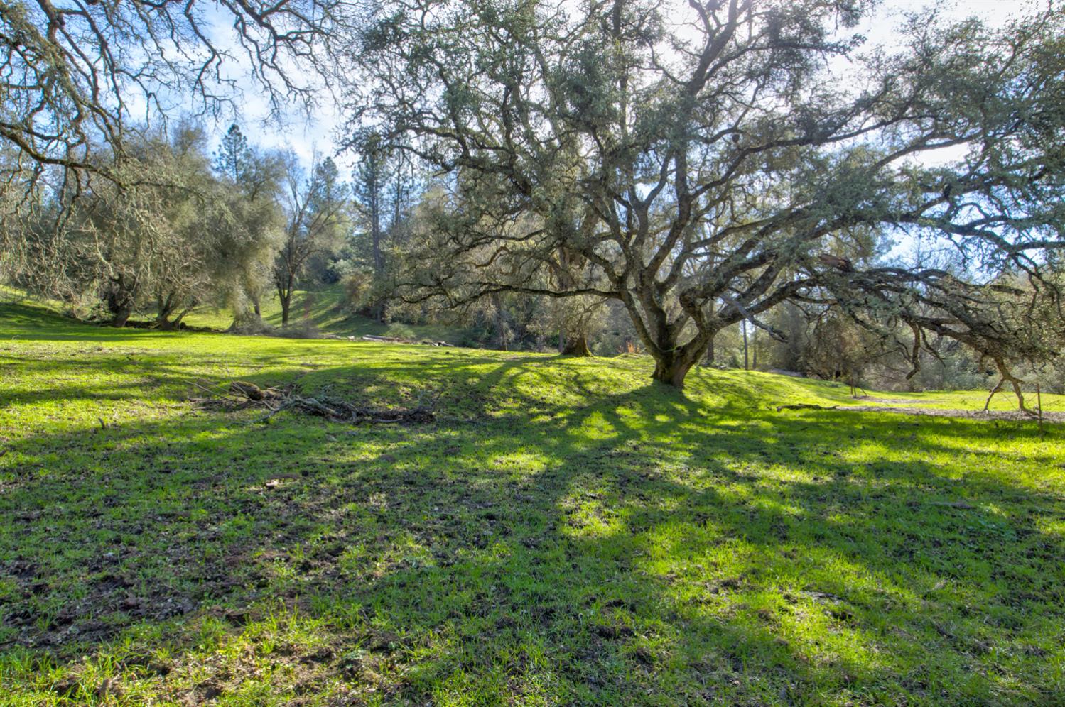 12442 Trembath Mtn Road Fiddletown, CA 95629 - Photo 6 of 42