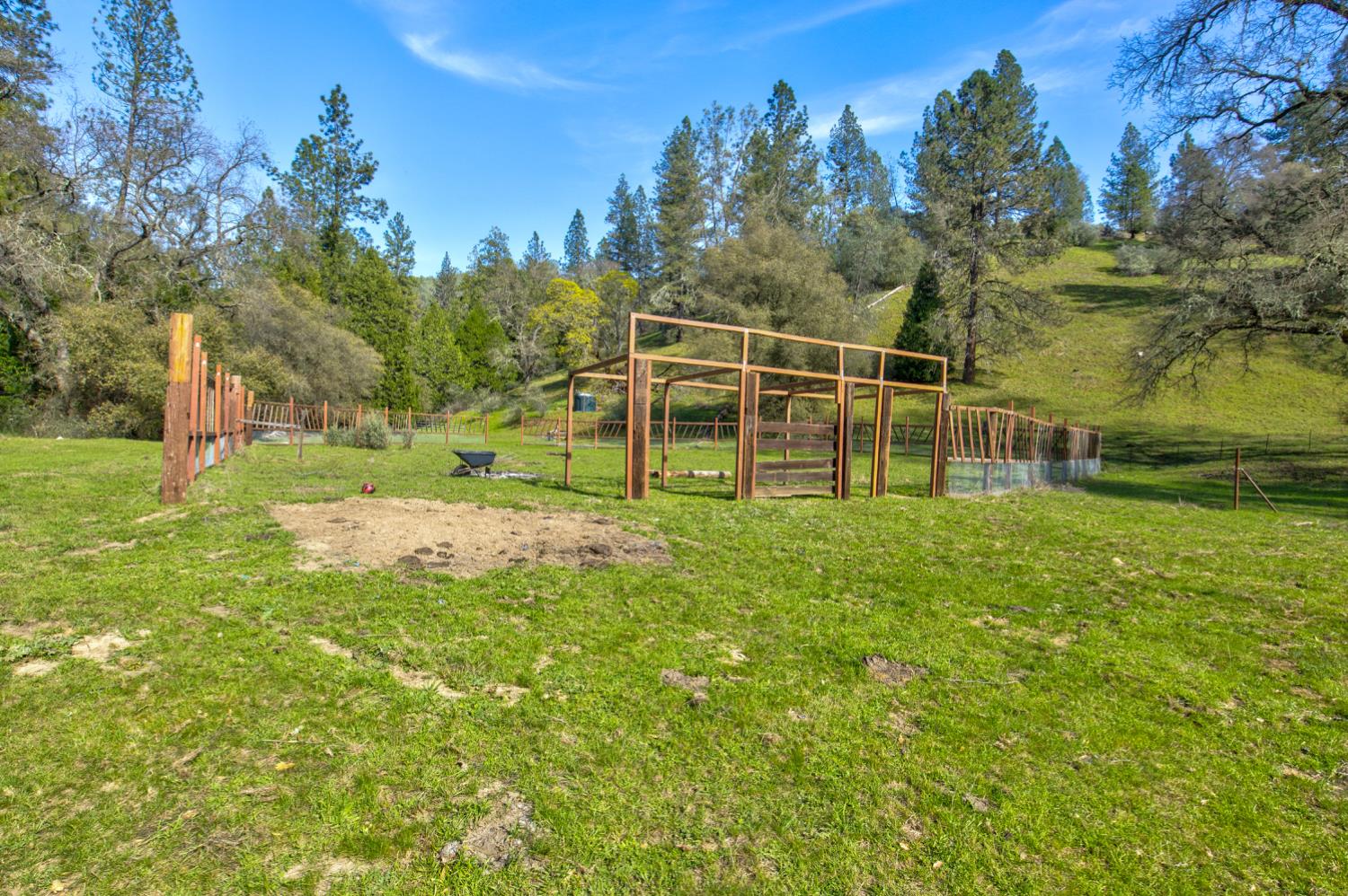 12442 Trembath Mtn Road Fiddletown, CA 95629 - Photo 8 of 42