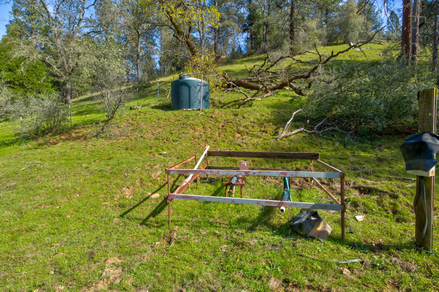 12442 Trembath Mtn Road Fiddletown, CA 95629 - Photo 9 of 42