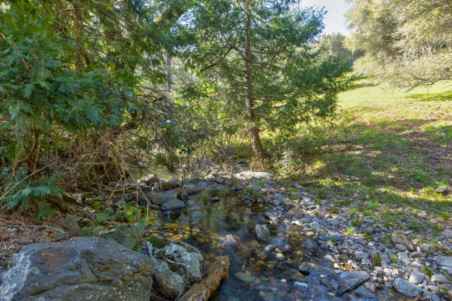 12442 Trembath Mtn Road Fiddletown, CA 95629 - Photo 10 of 42