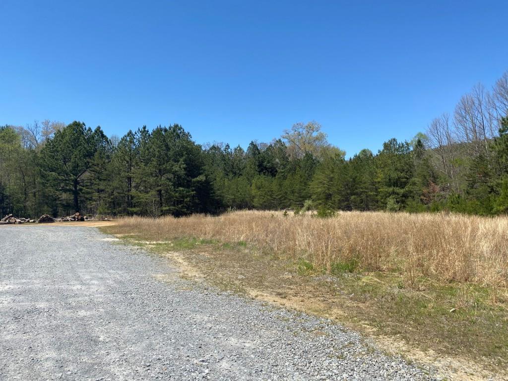 6 And 7 Fannin Industrial Blue Ridge Blue Ridge, GA 30513 - Photo 1 of 1 a view of a yard with a tree