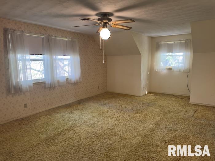 18609 Locust Street Trivoli, IL 61569 - Photo 15 of 31 Gallery Image 15