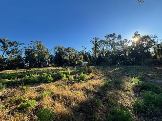 $48,000 | 515 Northeast Willow Bend Terrace, Lee, FL 32059