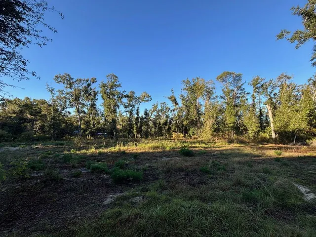 $48,000 | 515 Northeast Willow Bend Terrace, Lee, FL 32059