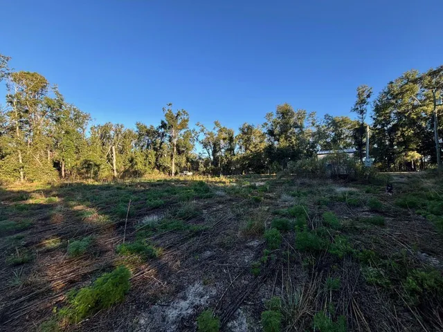 $48,000 | 515 Northeast Willow Bend Terrace, Lee, FL 32059