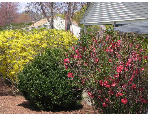 18 Beverly Road Grafton, MA 01536 - Photo 18 of 21 Gallery Image 18