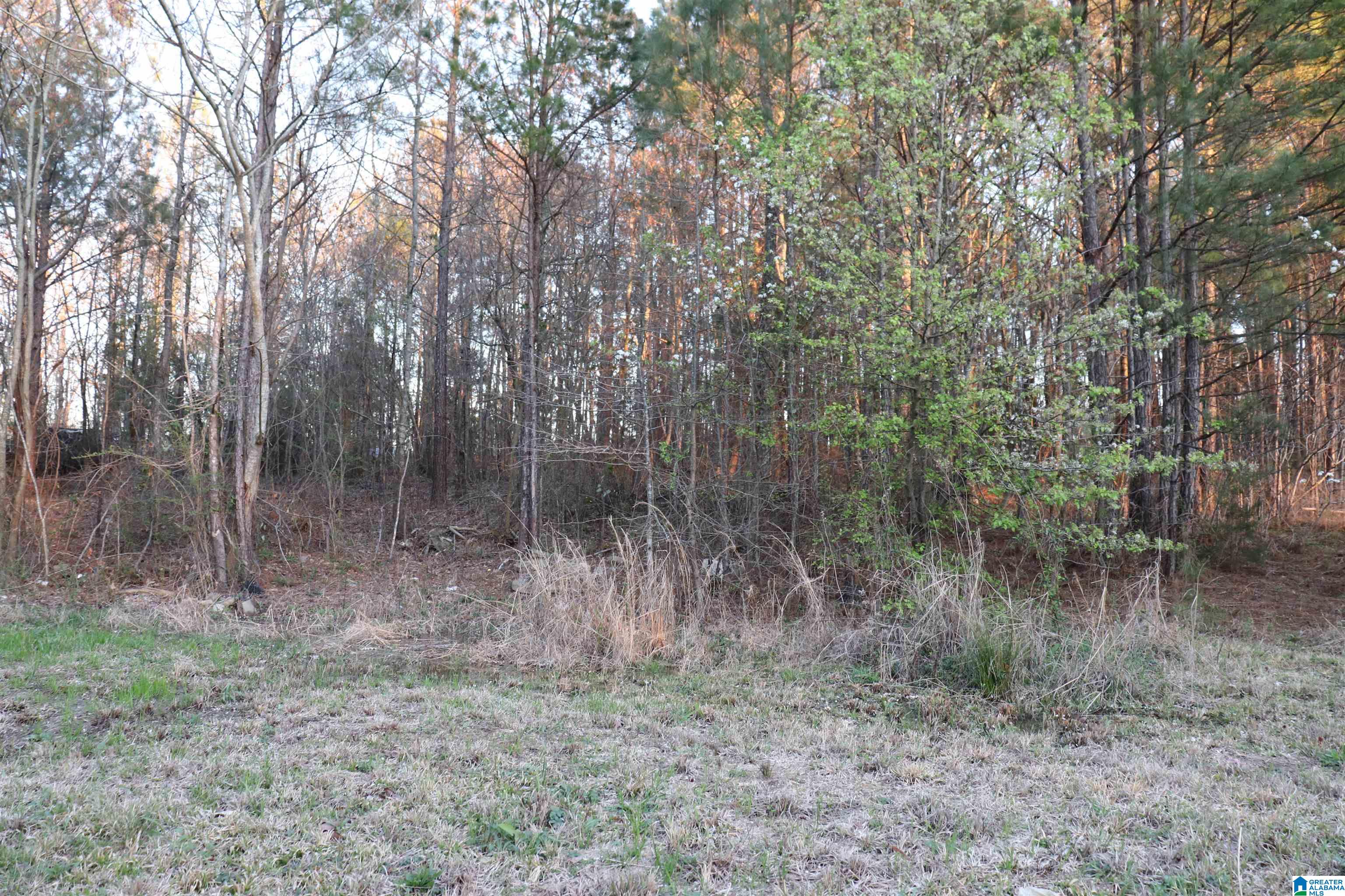 255 Estes Circle Oneonta, AL 35121 - Photo 7 of 27