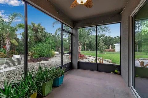 a view of a backyard with potted plants and palm trees