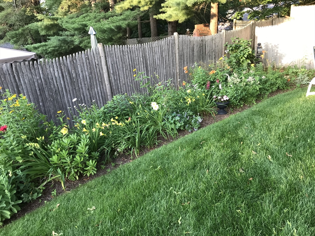 51 MacArthur Road Concord, MA 01742 - Photo 42 of 42 a view of a garden with plants