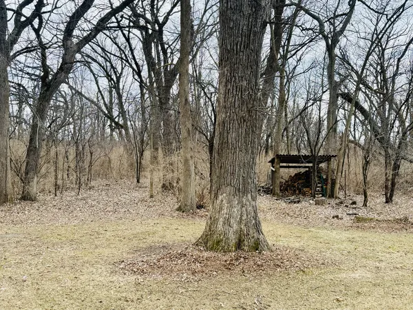 a backyard of a house with a trees