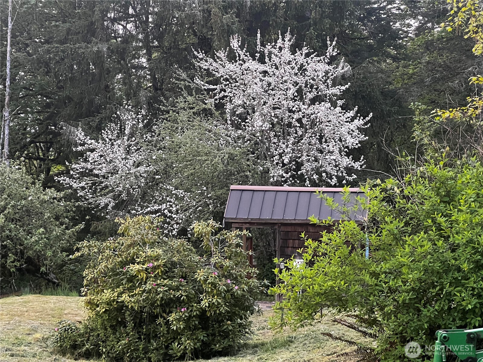 106 Crocker Lake Road Quilcene, WA 98376 - Photo 12 of 34 a view of a yard with wooden fence and a bench